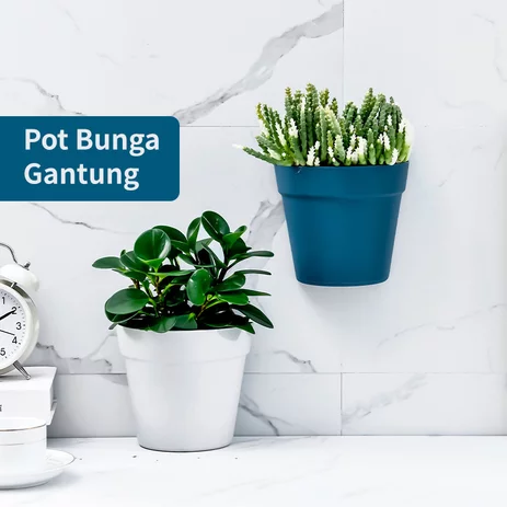 Detail Gambar Vas Bunga Tempel Nomer 22