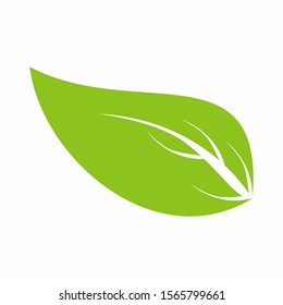 Detail Gambar Vector Daun Nomer 11