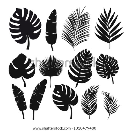 Detail Gambar Vector Daun Nomer 14