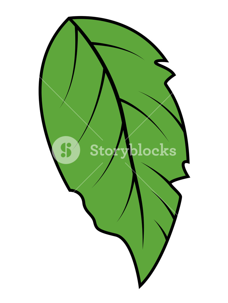 Detail Gambar Vector Daun Nomer 25