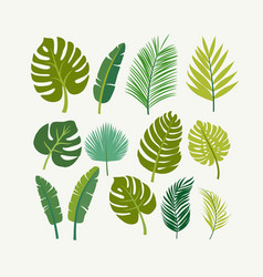 Detail Gambar Vector Daun Nomer 36