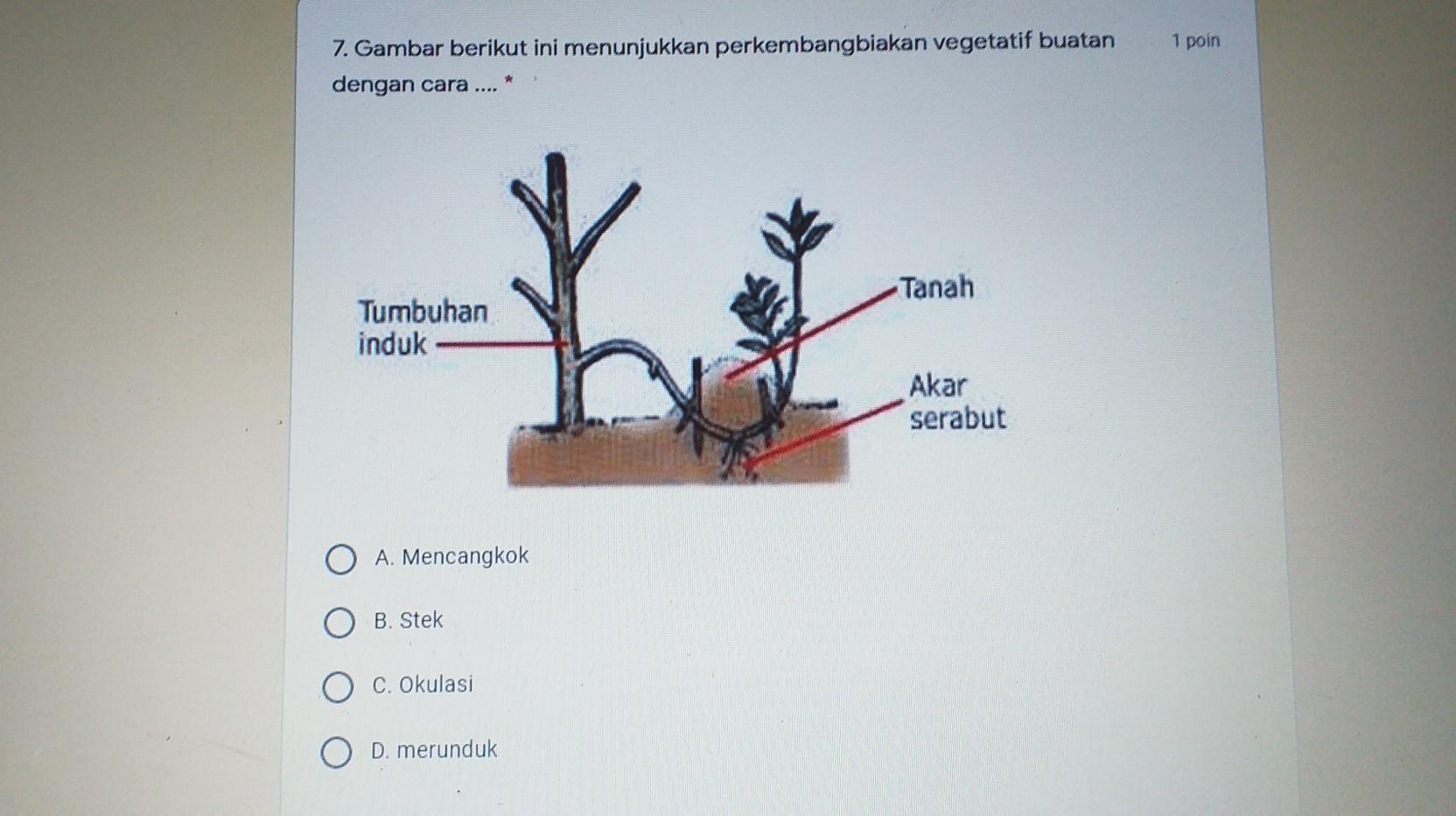 Detail Gambar Vegetatif Buatan Nomer 56