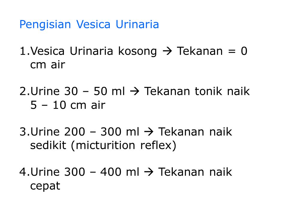 Detail Gambar Vesika Urinaria Nomer 41