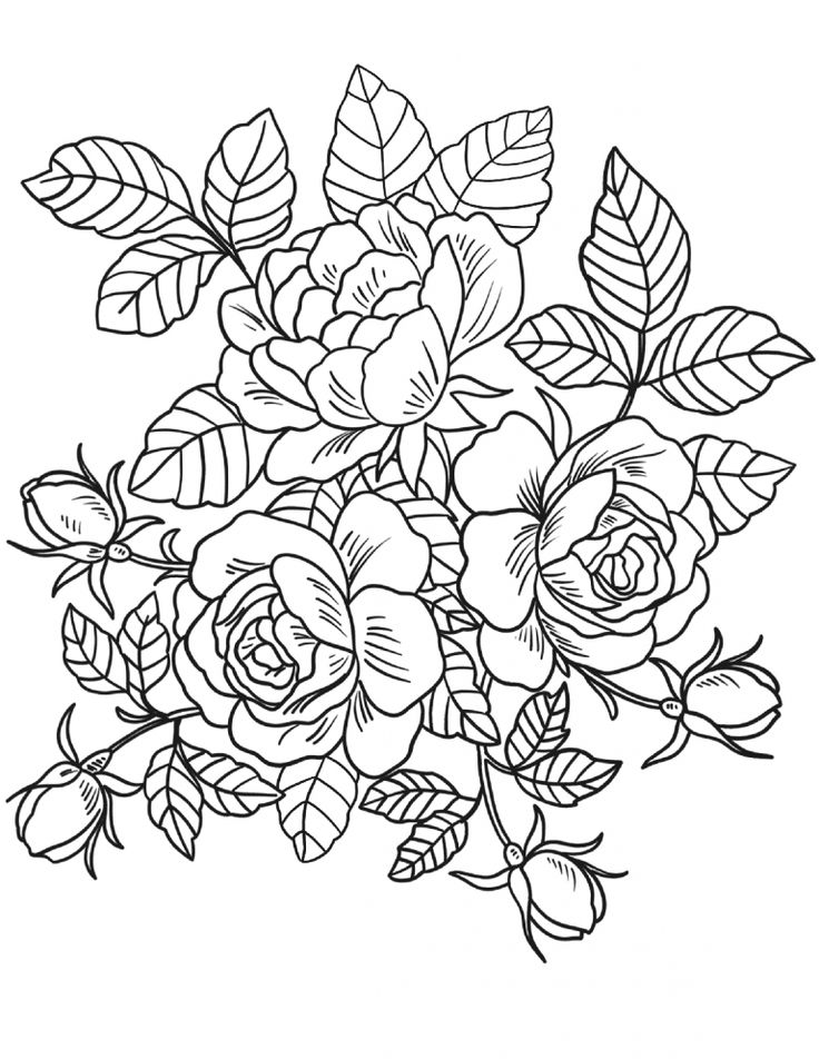 Detail Gambar Vignet Bunga Mawar Nomer 4