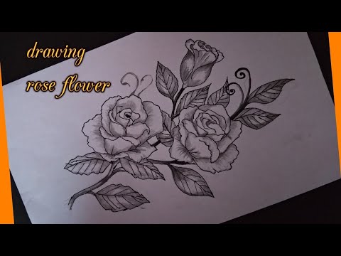 Detail Gambar Vignet Bunga Mawar Nomer 6