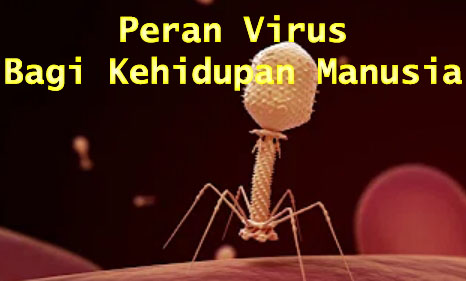 Detail Gambar Virus Dan Peranannya Nomer 14