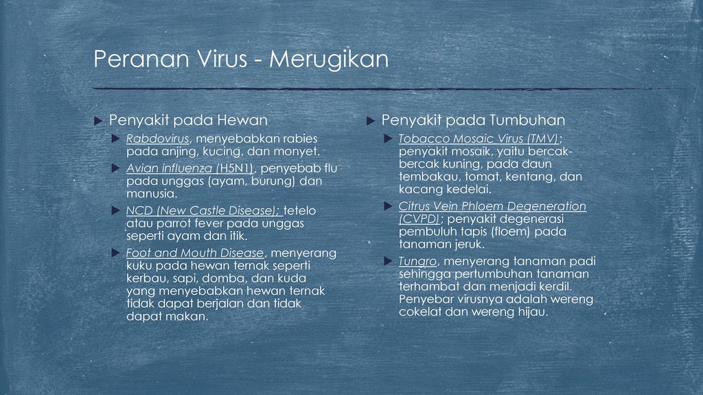 Detail Gambar Virus Dan Peranannya Nomer 42