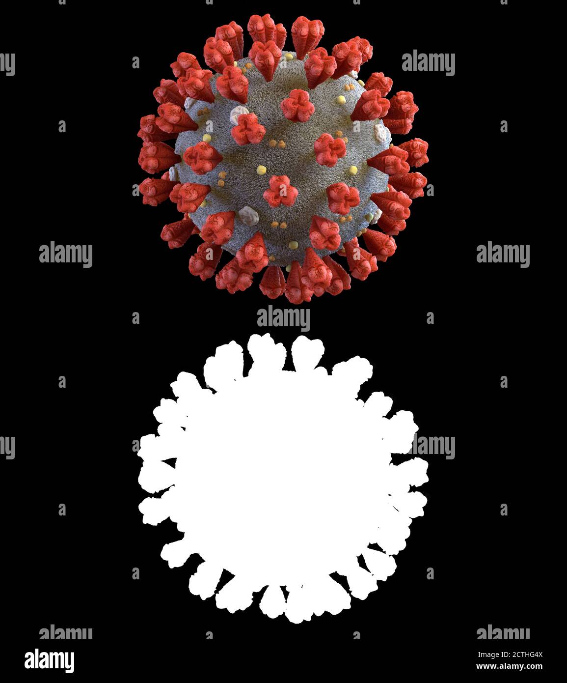 Detail Gambar Virus Dna Nomer 26