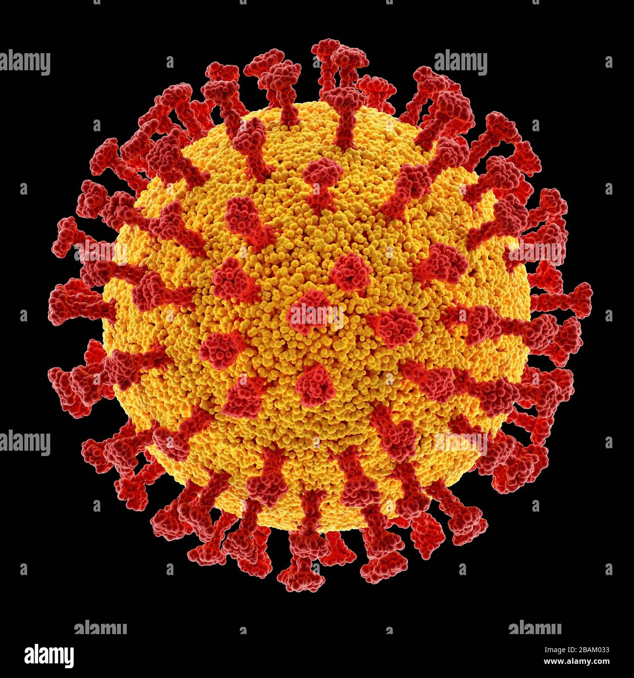 Detail Gambar Virus Dna Nomer 41