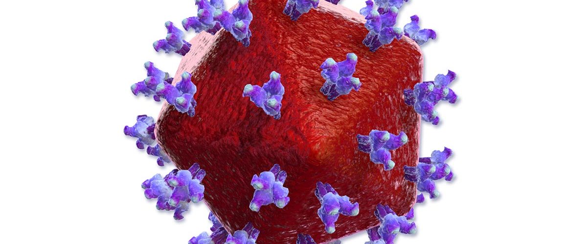 Detail Gambar Virus Hiv Nomer 4