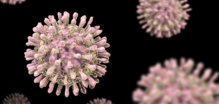 Detail Gambar Virus Hiv Nomer 29