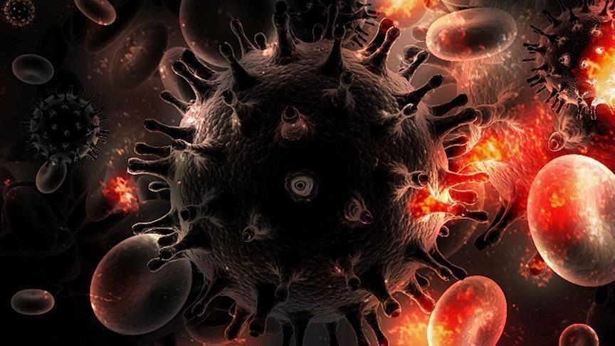 Detail Gambar Virus Hiv Nomer 37