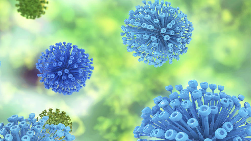 Detail Gambar Virus Hiv Nomer 44