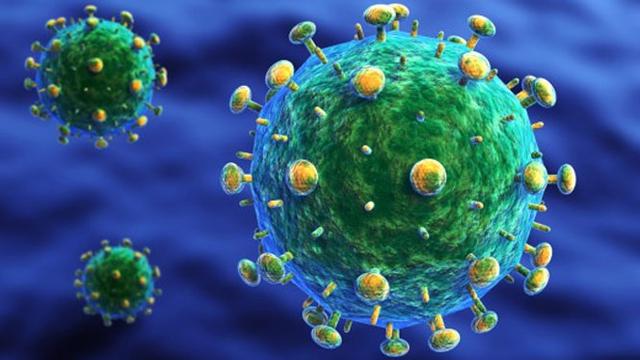 Detail Gambar Virus Penyakit Hivaids Nomer 9