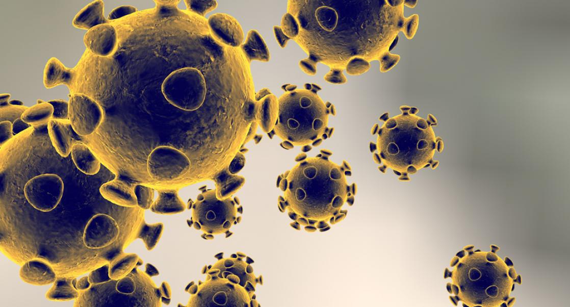 Detail Gambar Virus Polio Nomer 25