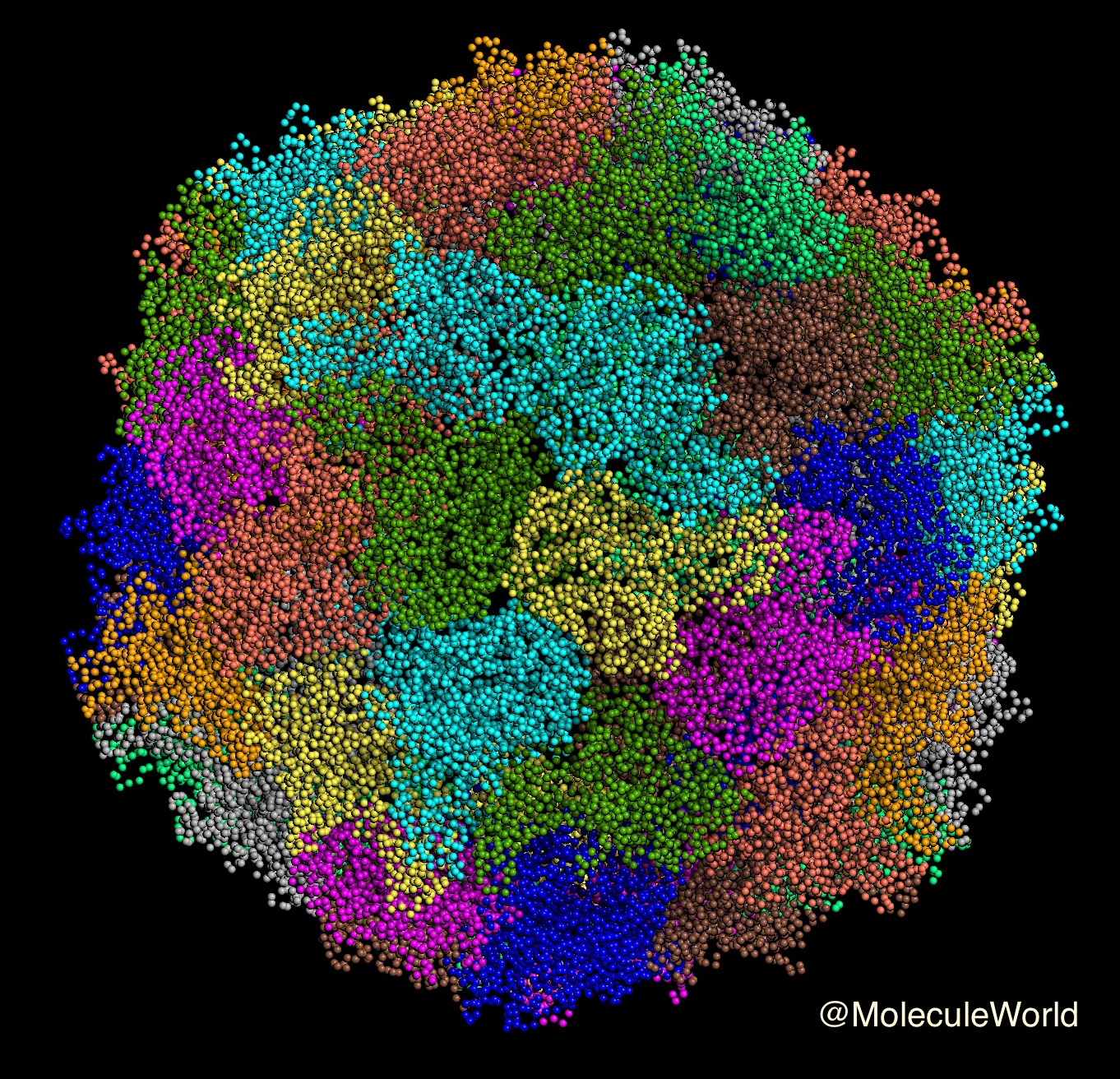 Detail Gambar Virus Polio Nomer 31