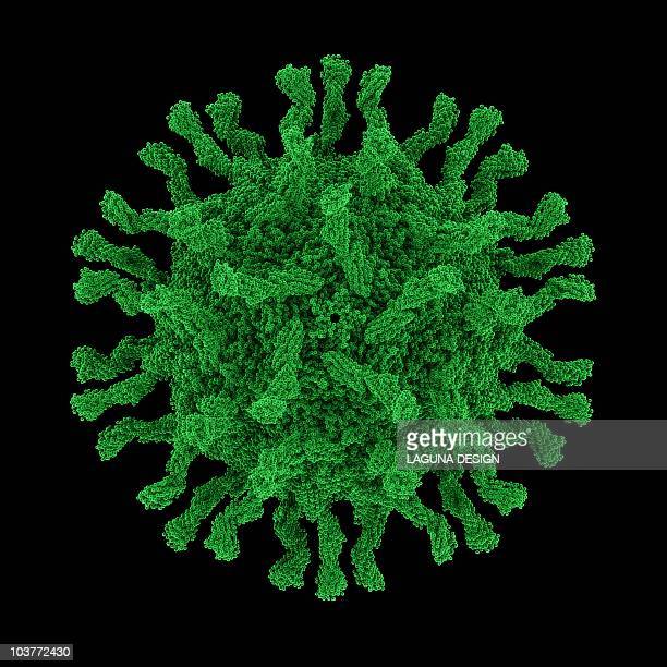 Detail Gambar Virus Polio Nomer 32