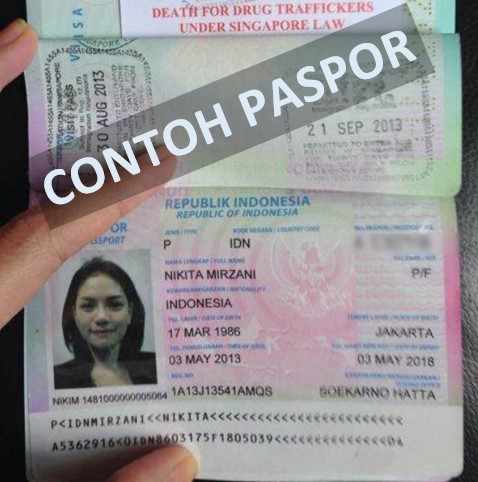 Detail Gambar Visa Dan Paspor Nomer 37