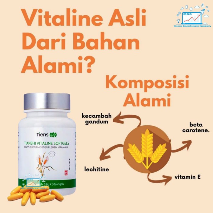 Detail Gambar Vitaline Softgel Tiens Nomer 26