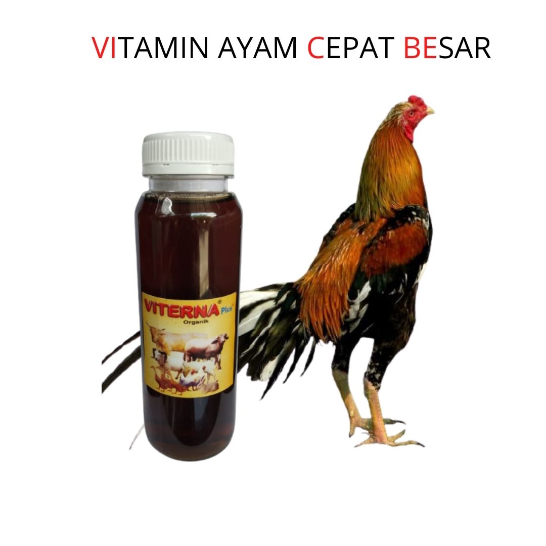 Detail Gambar Vitamin Ayam Nomer 28