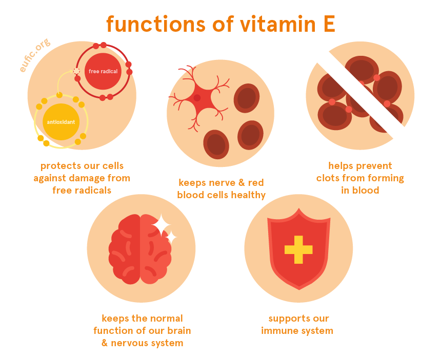 Detail Gambar Vitamin E Nomer 33