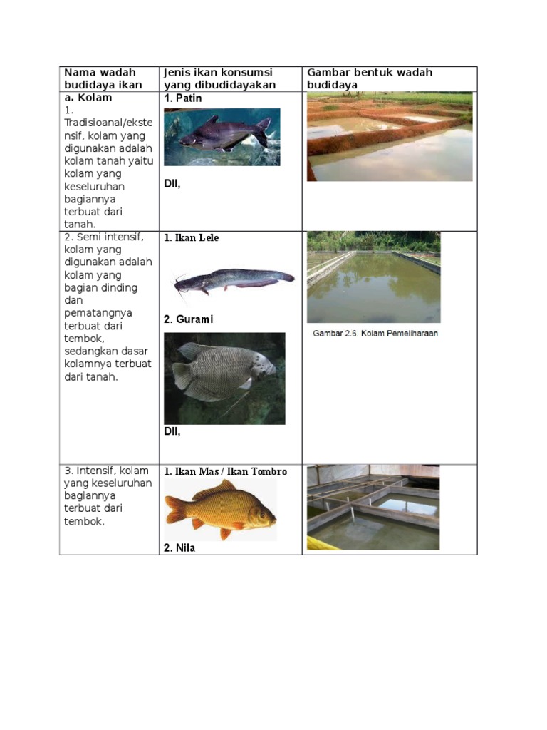 Detail Gambar Wadah Budidaya Ikan Konsumsi Nomer 9