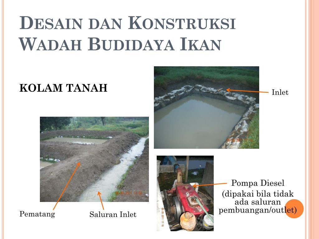 Detail Gambar Wadah Budidaya Ikan Konsumsi Nomer 30