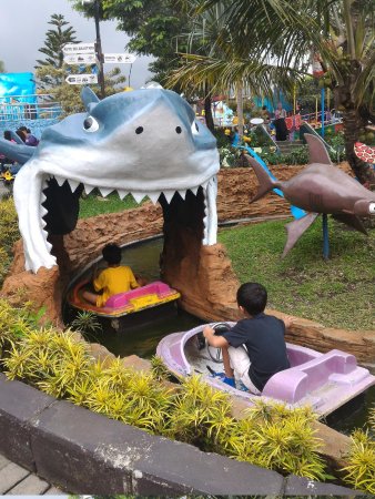 Detail Gambar Wahana Fish Park Nomer 7