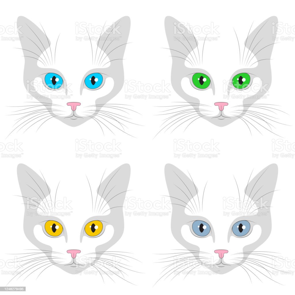 Detail Gambar Wajah Kucing Nomer 29