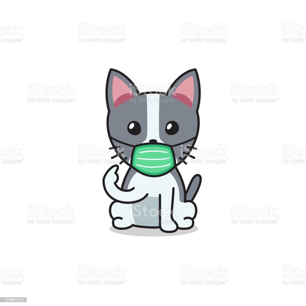 Detail Gambar Wajah Kucing Kartun Nomer 55