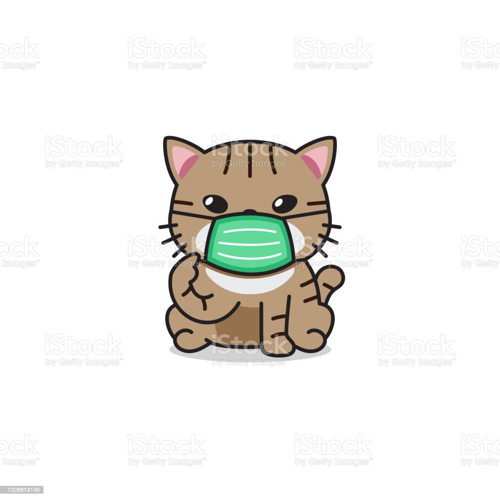 Detail Gambar Wajah Kucing Kartun Nomer 58