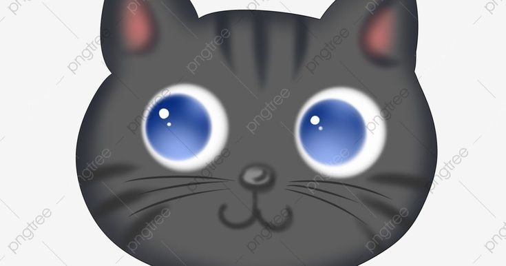 Detail Gambar Wajah Kucing Kartun Nomer 7