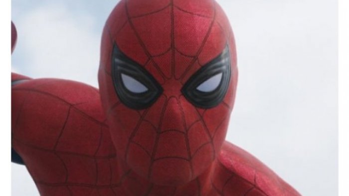 Detail Gambar Wajah Spiderman Nomer 21