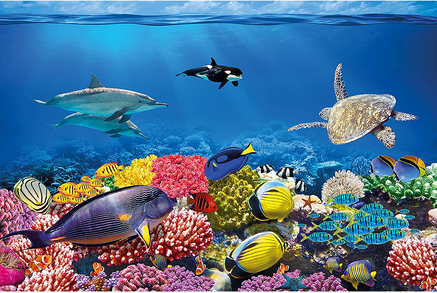 Detail Gambar Wallpaper Aquarium Nomer 13