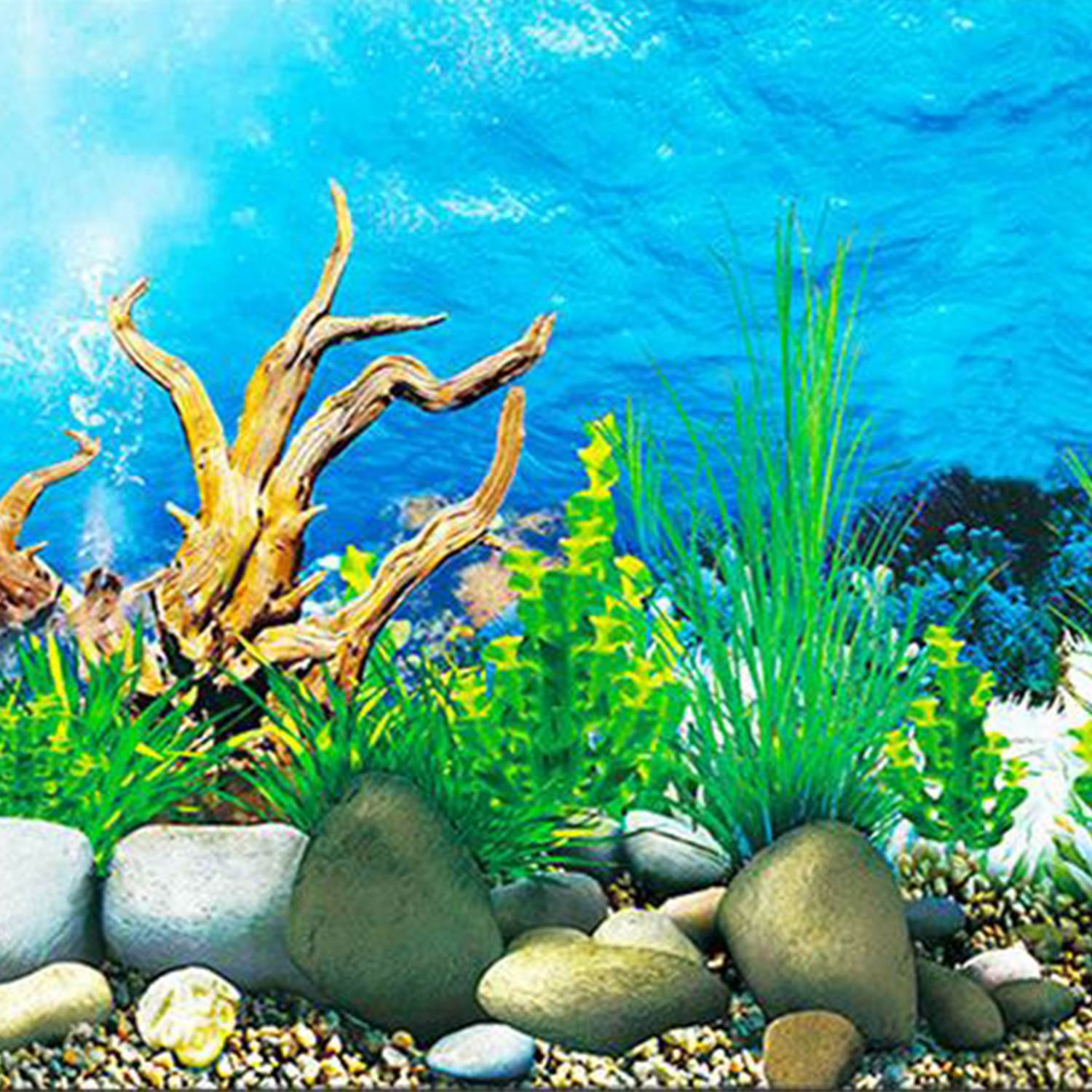 Detail Gambar Wallpaper Aquarium Nomer 18