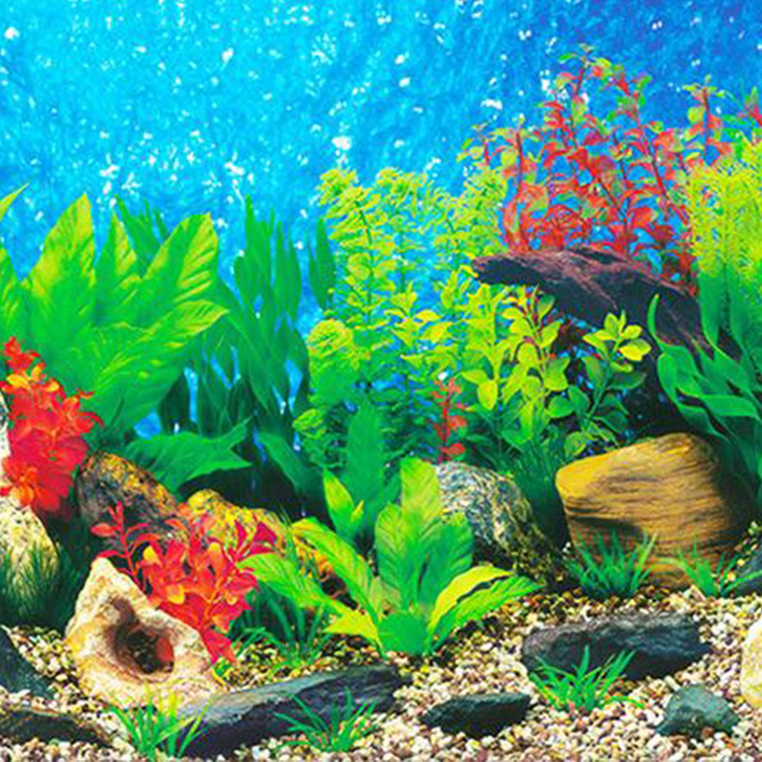 Detail Gambar Wallpaper Aquarium Nomer 21