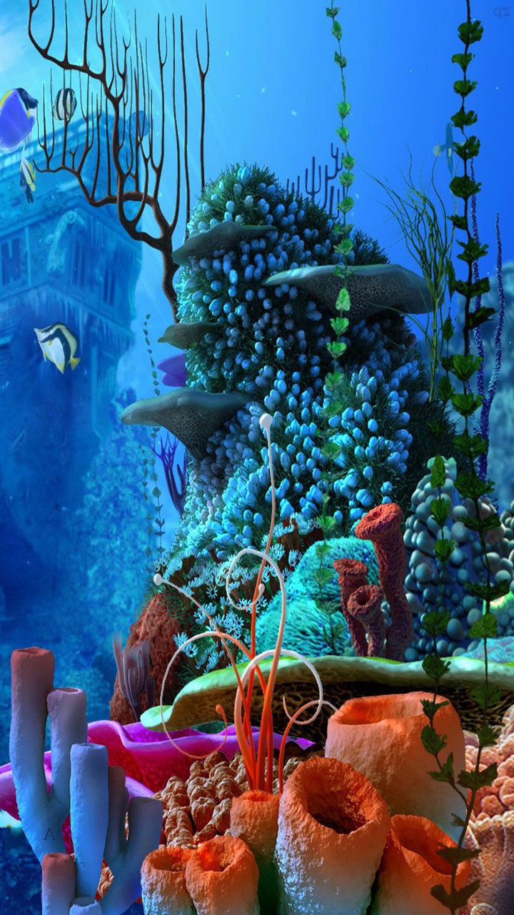 Detail Gambar Wallpaper Aquarium Nomer 23