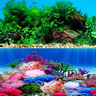 Detail Gambar Wallpaper Aquarium Nomer 25