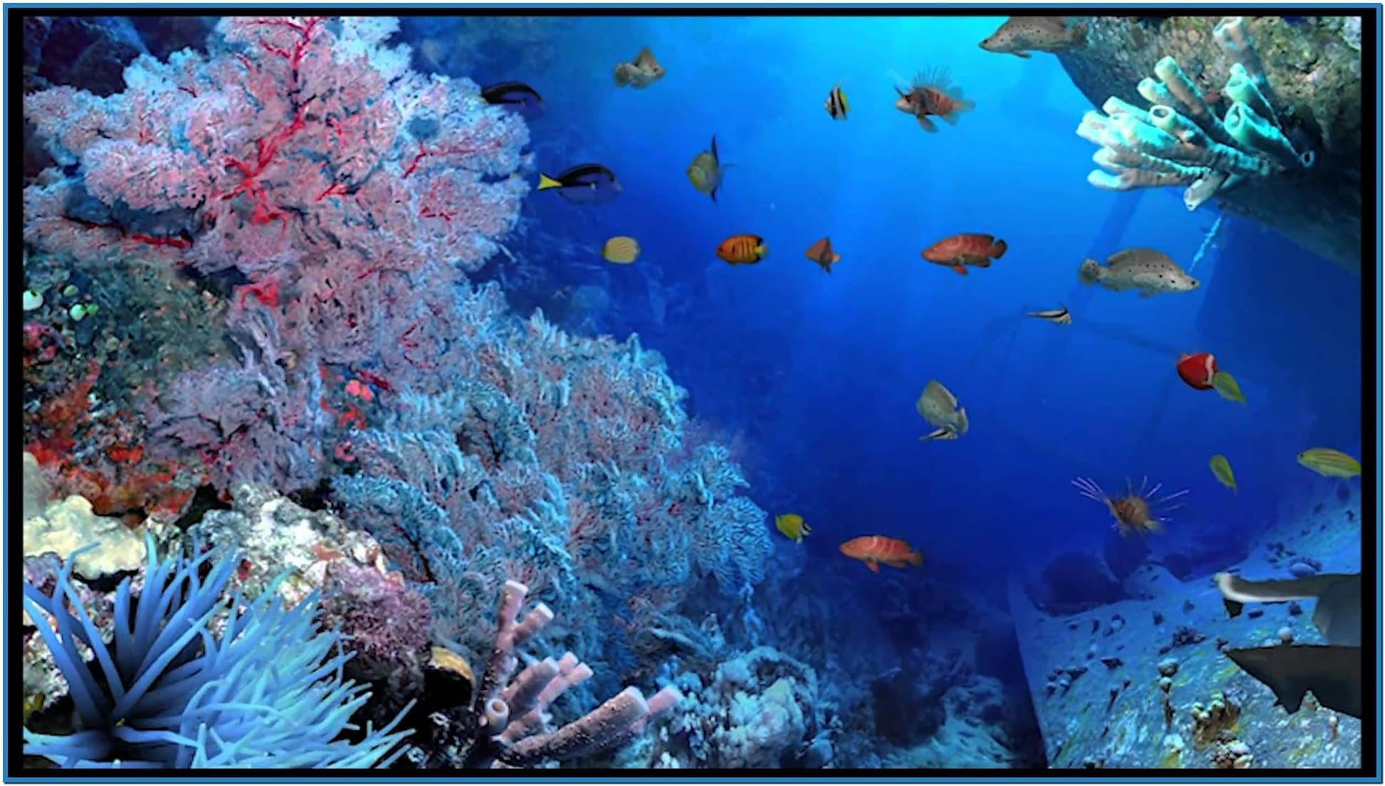 Detail Gambar Wallpaper Aquarium Nomer 34