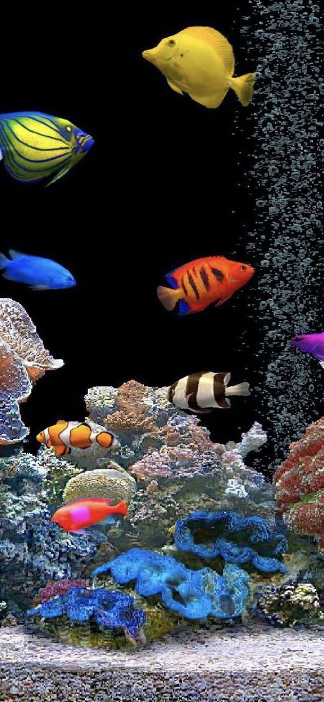 Detail Gambar Wallpaper Aquarium Nomer 41