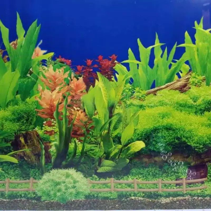 Detail Gambar Wallpaper Aquarium Nomer 48