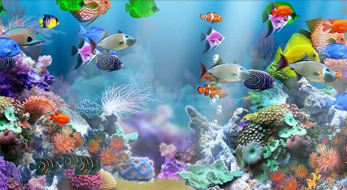 Detail Gambar Wallpaper Aquarium Nomer 54