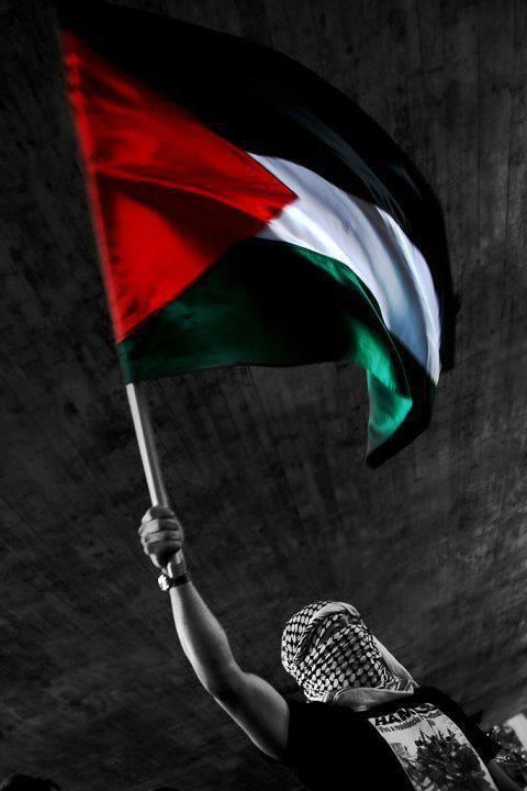 Detail Gambar Wallpaper Bendera Palestina Nomer 5