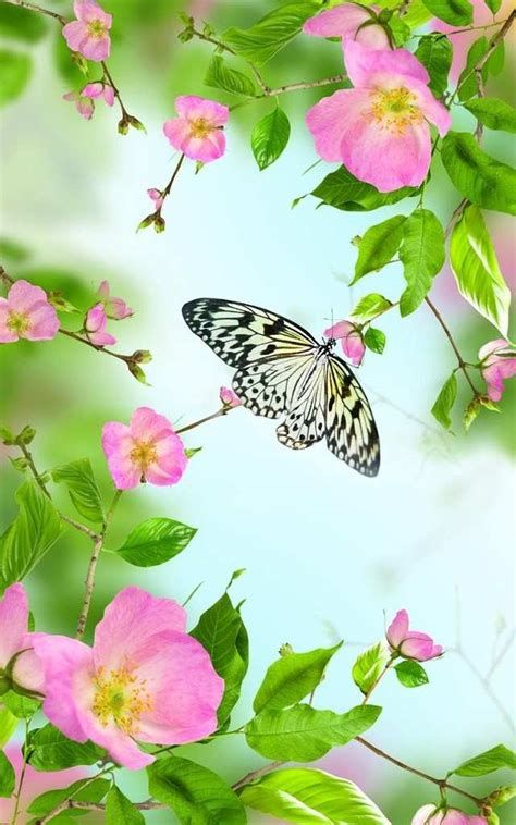 Detail Gambar Wallpaper Bergerak Lucu Nomer 16