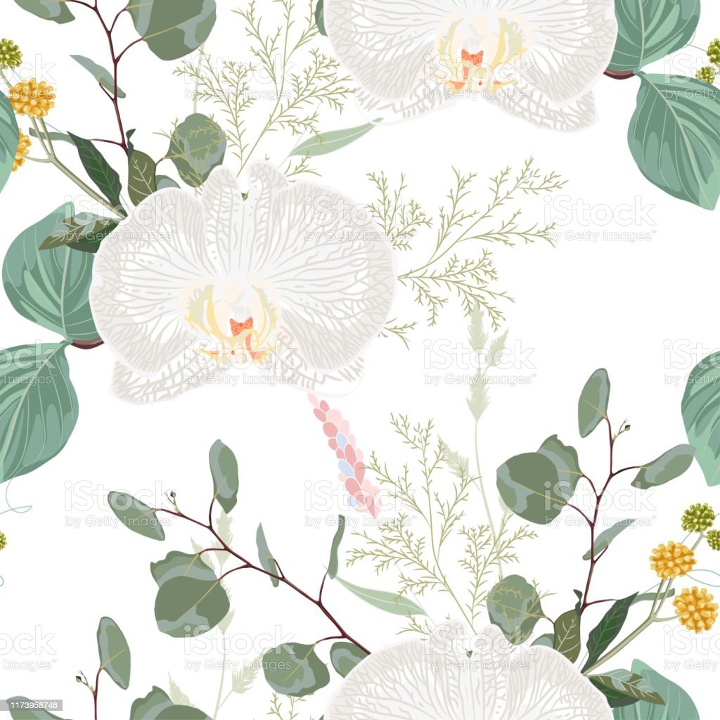 Detail Gambar Wallpaper Bunga Anggrek Nomer 54