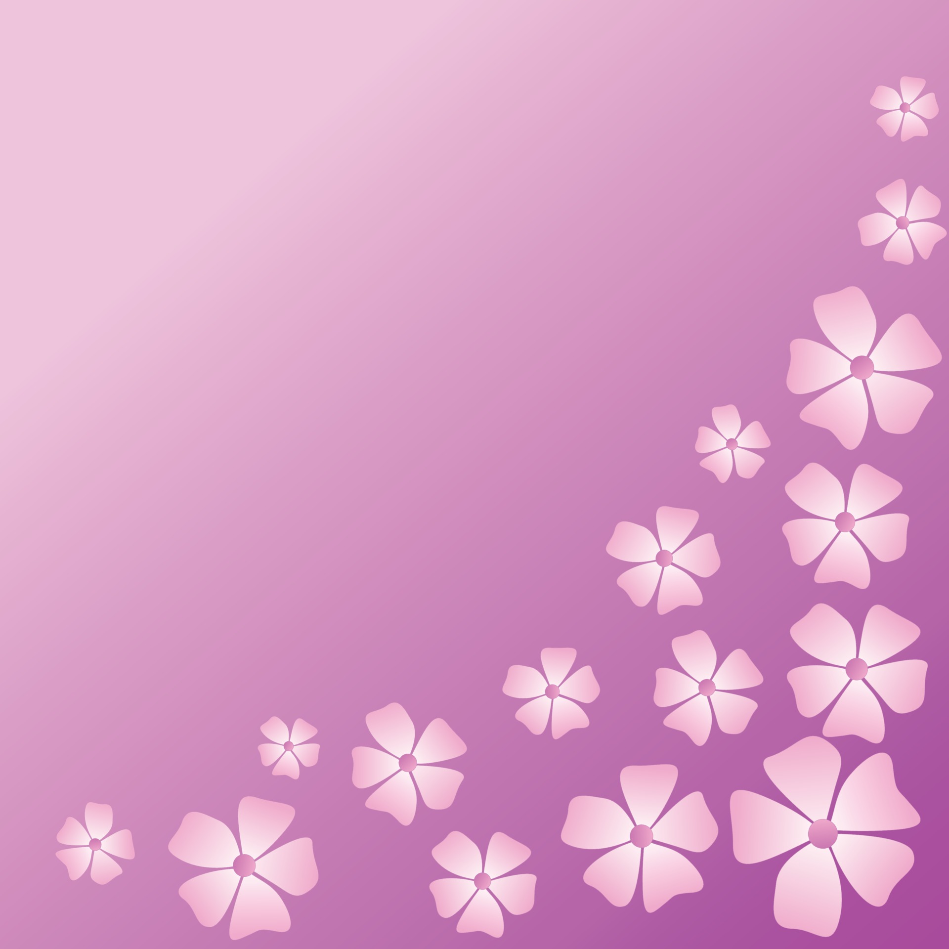Detail Gambar Wallpaper Bunga Pink Nomer 55