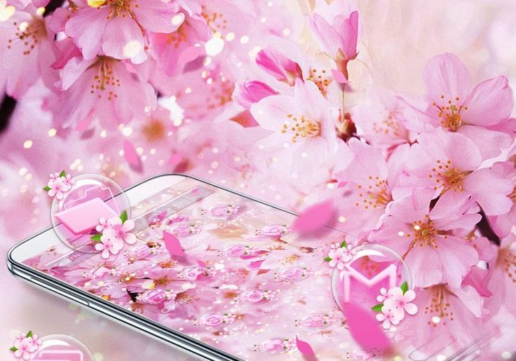 Detail Gambar Wallpaper Bunga Sakura Nomer 38