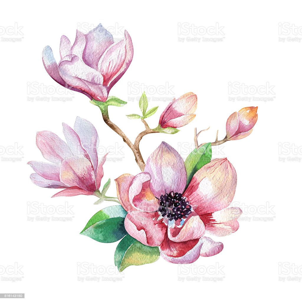 Detail Gambar Wallpaper Bunga Watercolor Nomer 39