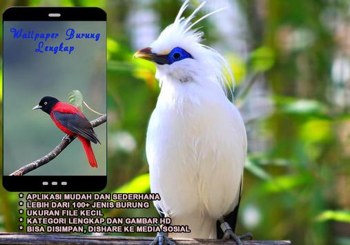 Detail Gambar Wallpaper Burung Nomer 27