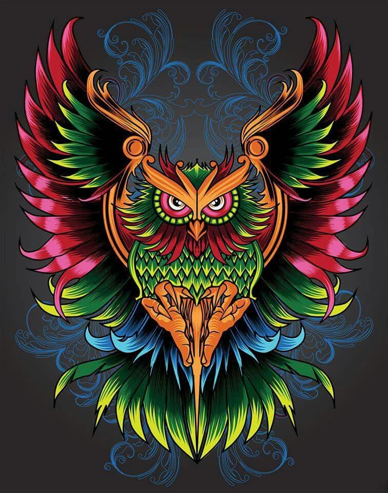 Gambar Wallpaper Burung Hantu - KibrisPDR